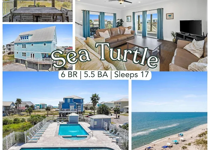 Sea Turtle