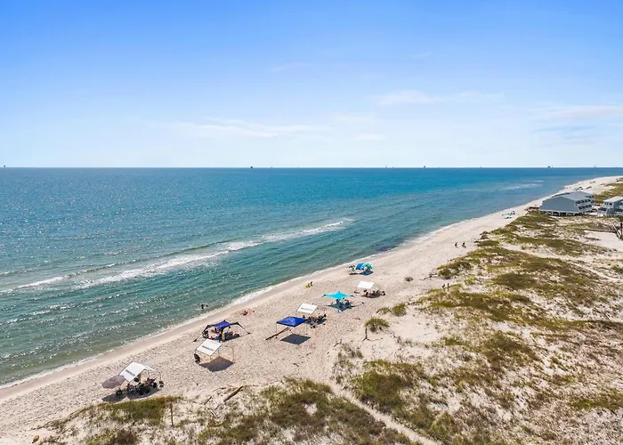 Sea Turtle Gulf Shores