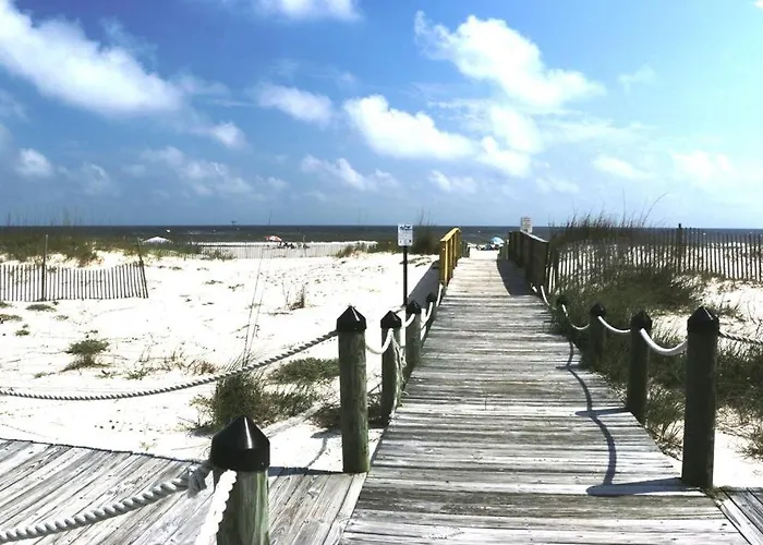 Sea Turtle * Gulf Shores